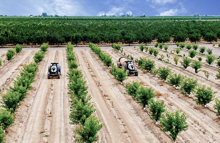 Bluewhite enabled New Holland tractors operate in a cherry orchard.