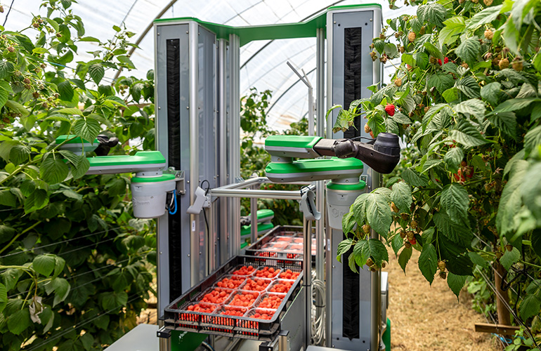 fieldwork robotics robot in a aisle of a greenhouse.