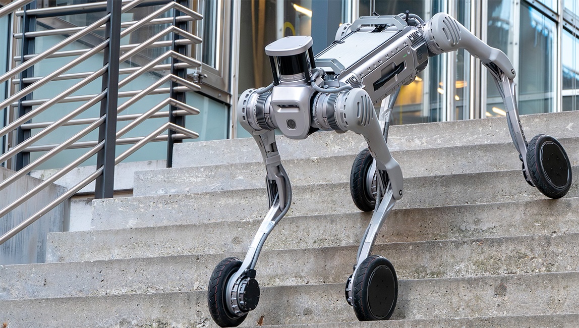 Swiss-Mile's quadruped moving down a set of stairs. Swiss-Mile is included in our robotics investments recap for August 2024.