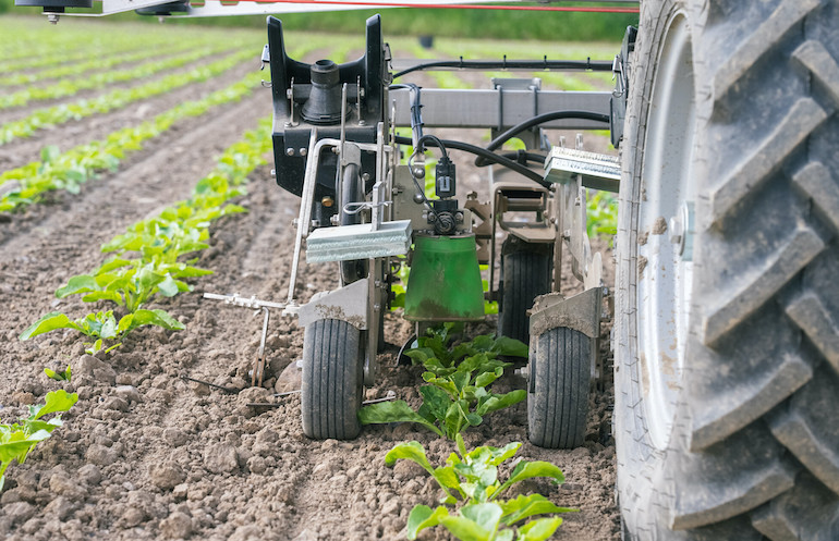 FarmDroid FD20 with precision spraying implement.