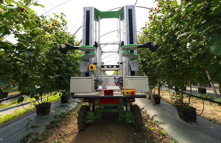 Fieldwork Robotics and Burro have developed a hardware-agnostic raspberry harvesting payload, shown here on a Burro.